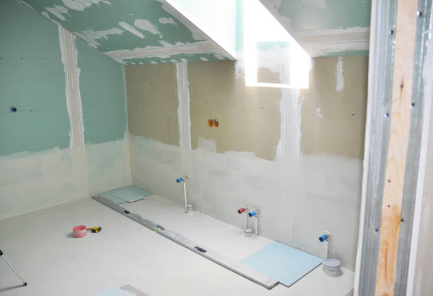 Best Emergency Mold Remediation  in Waterford, WI