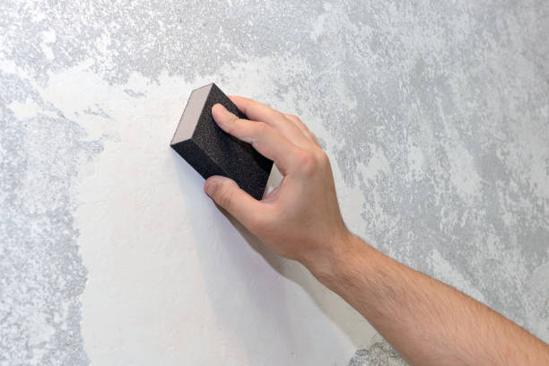 Best Water Damage & Mold Remediation  in Waterford, WI