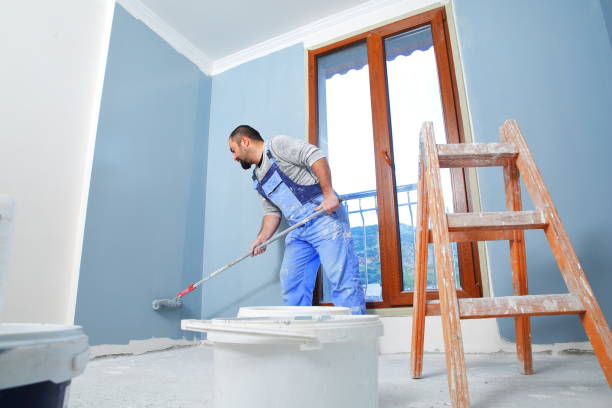 Mold Odor Removal Services in Waterford, WI