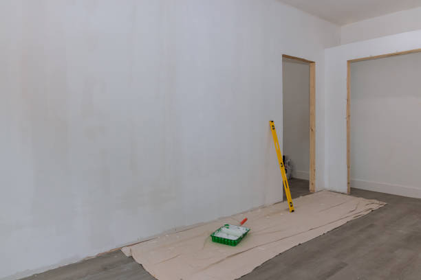 Best Post-Construction Mold Inspection  in Waterford, WI