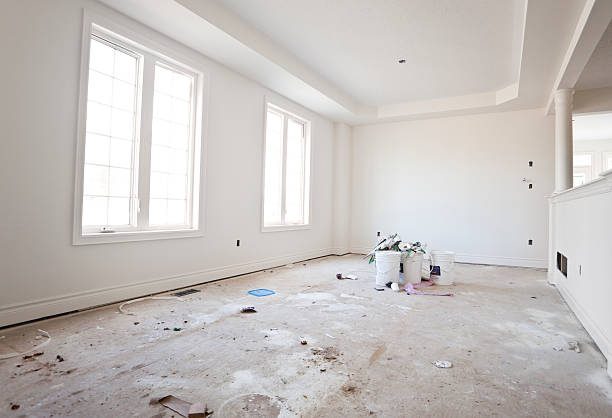 Best Black Mold Removal  in Waterford, WI