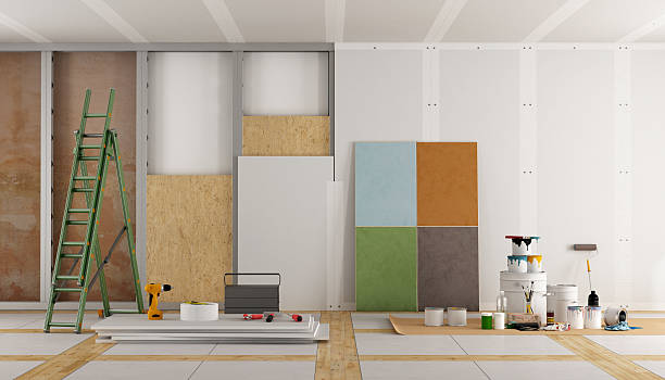 Best Post-Construction Mold Inspection  in Waterford, WI