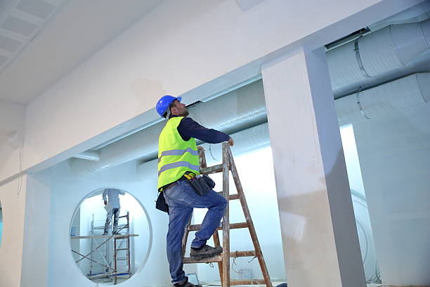 Best Mold Odor Removal Services  in Waterford, WI