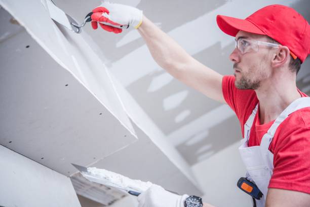 Best Mold Documentation for Insurance Claims  in Waterford, WI