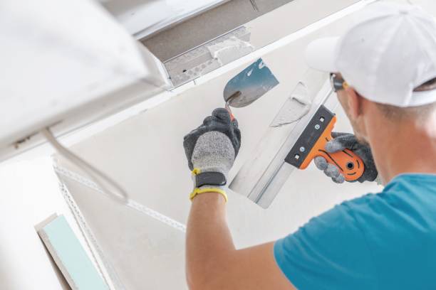 Best Dehumidification Services  in Waterford, WI